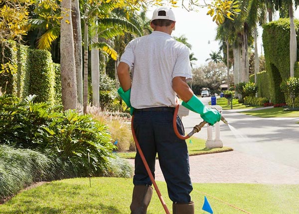 About Augusta KS Pest Control